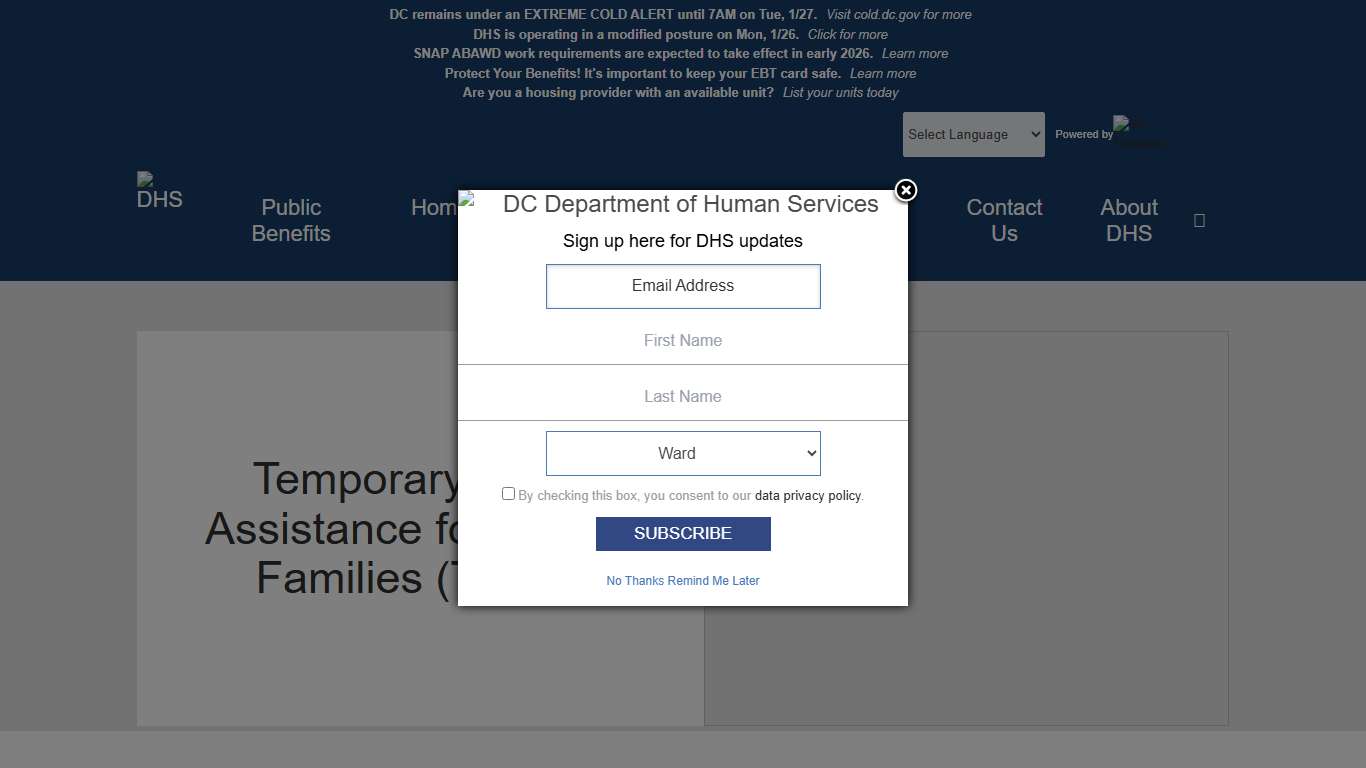 Temporary Cash Assistance for Needy Families (TANF) dhs
